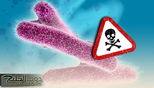 جرثومة شيغيلا .. عدوى معوية خطيرة تنتقل عبر التلوث