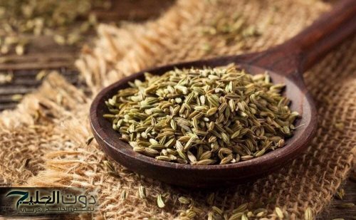 مش هتجيب دوا للكحة تاني!!… عشبة المعجزة متوفرة في كل منزل تقضي على السعال والزكام بلحظات.. احرصوا عليها