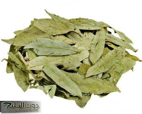 ولا الجن الأزرق يعرفها..!! عشبة جبارة ربانية متواجدة في كل منزل تجعلك تتخلص كافة مشاكل القولون وتخلصك