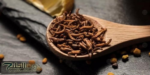 ودعي التلف وخلي شعرك دايمًا لامع.. استخدمي القرنفل بهذة الطريقة وسوف تحصلين على شعر ناعم وطويل من أول