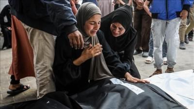 أخبار اليمن : ارتفاع عدد شهداء غزة إلى 65208