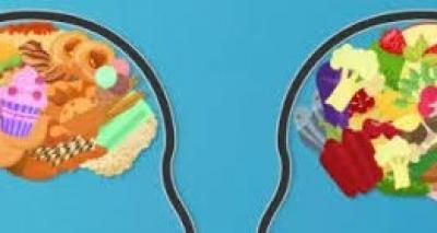 أخبار اليمن : 4 مكملات غذائية لتعزيز قوة الذاكرة