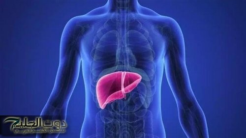انتبه.. علامات تظهر ليلاً قد تكشف عن فشل الكبد