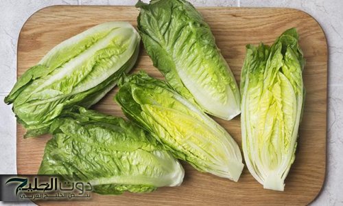 «محدش كان يتوقع كده».. هذا ما يحدث لجسمك عند تناول الخس يوميًا