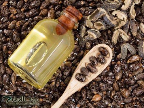 زيت الخروع.. لماذا يستحق لقب "بوتوكس الطبيعة"؟