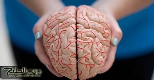 عقلك مش هيستوعبها…مسن كبير يكشف عن طريقة عبقرية للتخلص من النسيان والوصول إلى مرحلة الذكاء بنسبة 200%