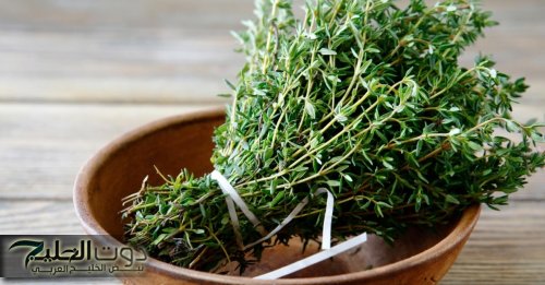 شعرك هيهفف من النعومة.. عشبة برية فوائدها غير تقليدية.. نبتة طبيعية ستبهرك بنتائجها الغير متوقعة خلال فترة