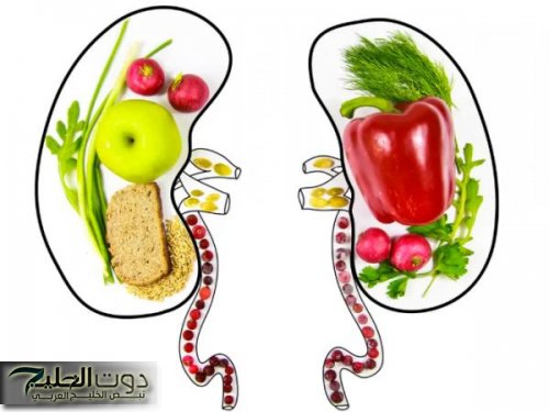 اكتشف 6 أطعمة طبيعية تعزز صحة الكلى وتدعم وظائفها