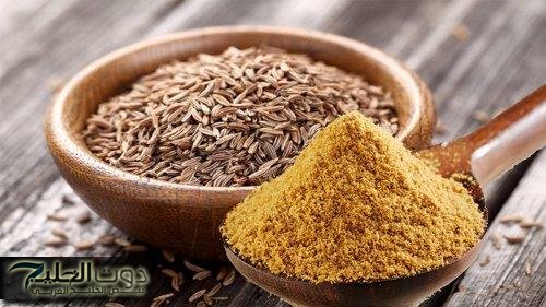 عشبة رخيصة جدًا وفي نفس الوقت فوائدها من دهب.. تقضي على الإمساك وأحسن حل لتنشيط الدماغ والذاكرة