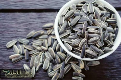 " معقولة بناكله كل ده ومنعرفش أهميته " .. لن تصدق ماذا يحدث لجسمك عند تناول حفنة من اللب السوري