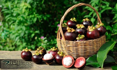 ولا عمرك سمعت عنها .. أغلي فاكهة استوائية في العالم تضبط مستوي السكر في الجسم ومضاد قوي للالتهابات