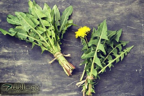 ولا عمرنا سمعنا عنها حاجة” .. العشبة السحرية لتنظيف الكبد من السموم مهما كان تالف وتحارب الكولسترول .. ضاع