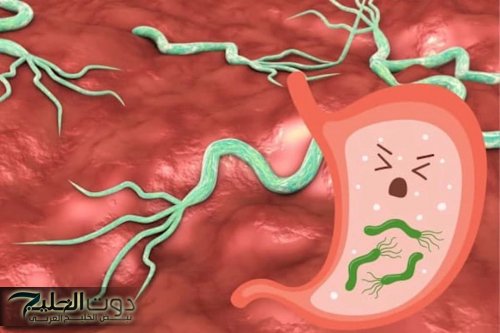 حسام موافي يحذر من عادة شائعة: قد تصيبك بجرثومة المعدة