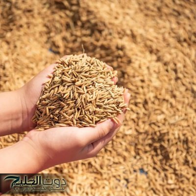 "محظوظ لو عرفتها" .. عشبة طبيعية تزرع في مصر رخيصة الثمن تخفض الكولسترول وتحارب السرطان