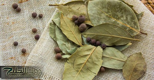 “ ولا عمرنا سمعنا عنها حاجة ” .. استخدم هذه العشبة السحرية في القضاء علي الجن والشياطين في المنزل في ثواني