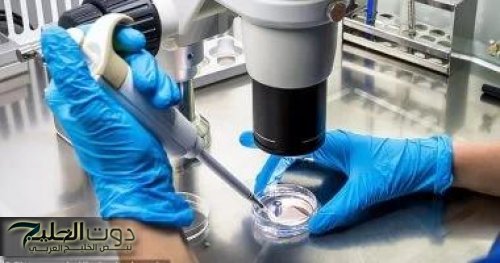 باحثون فرنسيون يطوّرون علاجًا مناعيًا يعيد برمجة الخلايا السرطانية لمكافحة سرطان الدم