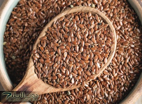 «معجزة من السماء».. عشبة مهملة بعشرين جنيه هترجعك شباب حتى لو عمرك فوق الستين.. إليكم طريقة الاستخدام