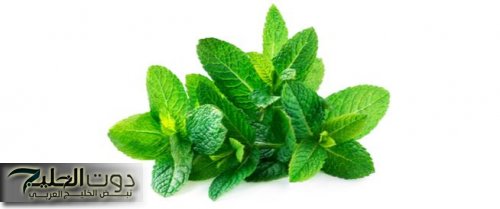 «لو عندك نعناع ناشف في بيتك اعتبره ثروة قومية».. فوائد واستخدمات للنعناع الناشف مش بيتحط علي الشاي بس.. أوعي