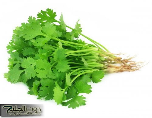 «كنز رباني لا يقدر بثمن!» .. عشبة نزلت من السماء تفتت الحصوات تخفض السكر التراكمي تنقي الكبد وتنظف الكلى