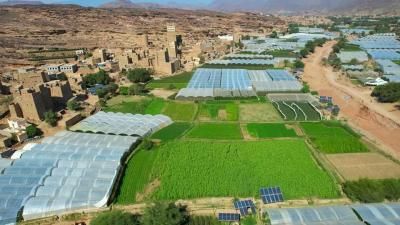 أخبار اليمن : تحذير لمزارعي اليمن: خذوا احتياطاتكم