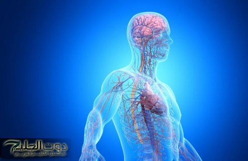 حاسة سادسة خفية حيوية لصحتنا