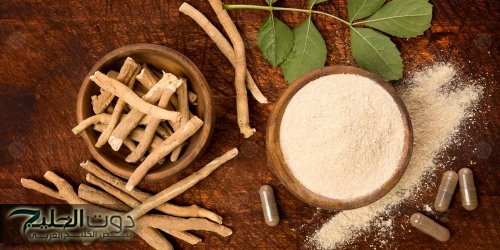 معجزة نزلت من السماء.. عشبة طبيعية تقوي الذاكرة وتحمي من الزهايمر والخرف وحل مثالي للسرطان .. تعرف عليها قبل