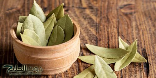 “معجزة ربانية أدهشت الجميع” .. عشبة سحرية خارقة يكرهها الجن والشياطين تقضي عليهم نهائيا من المنزل عند