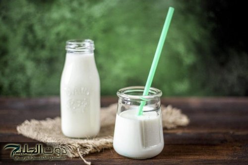 اكتشف الفوائد الصحية للبن الرائب مقارنة بالحليب التقليدي وتأثيره على صحة الجهاز الهضمي