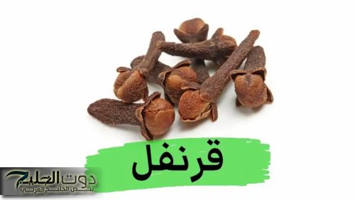 “يا بختك الليلة ليلتك يا عريس” .. استخدم مسمار واحد من القرنفل بهذه الطريقة المذهلة قبل النوم ولن تنسى