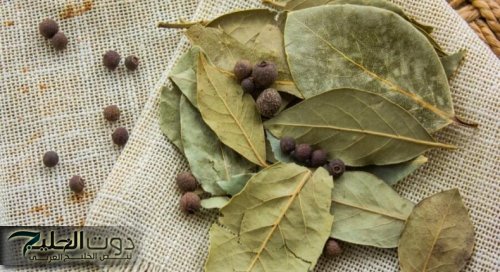 “ ولا عمرنا سمعنا عنها حاجة ” .. استخدم هذه العشبة السحرية في القضاء علي الجن والشياطين في المنزل في ثواني