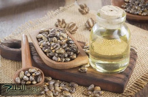 اكتشف القوة العلاجية لزيت الخروع وكيفية استخدامه في المنزل لتعزيز الصحة العامة والعناية بالجسم