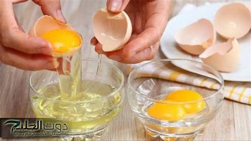 "السر انكشف خلاص!!"...مفاجأة عن تأثير صفار البيض على الكوليسترول.. مفيد ولا خطر؟ اعرف إمتى ينفعك