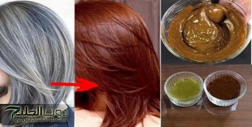 «انتهى زمن الحناء والصبغات».. إليك مكون واحد يخلصك من الشعر الأبيض في خلال أيام