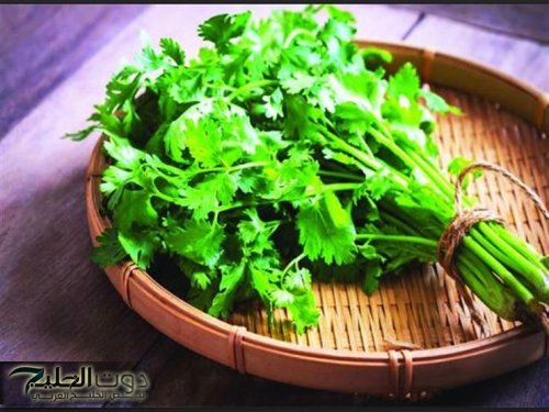 أقوى من إبرة الانسولين ب600مرة... عشبة سماوية جبارة تضبط السكر في الدم وتفتت الحصى في الكلى