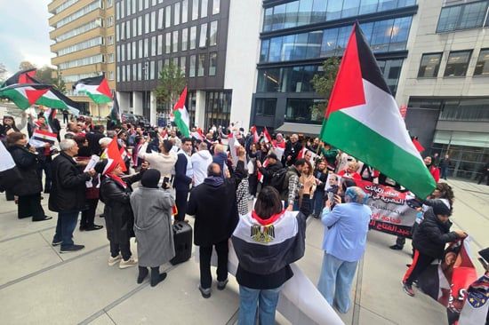 وقفة تأييد للرئيس السيسي أمام المفوضية الأوروبية بمشاركة الجاليتين المصرية والفلسطينية