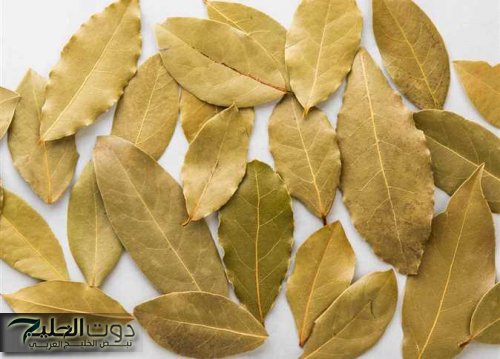 “ ولا عمرنا سمعنا عنها حاجة ” .. استخدم هذه العشبة السحرية في القضاء علي الجن والشياطين في المنزل في ثواني