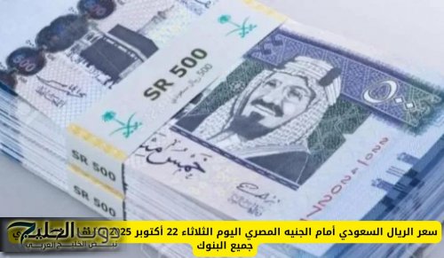 سعر الريال السعودي أمام الجنيه المصري اليوم 2025 يشهد استقرارًا في جميع البنوك