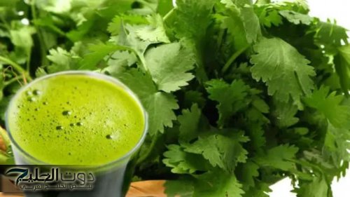 «العشبة المعجزة!».. 7 أسباب ستجعلك تتناول الكزبرة يومياً.. رقم 3 هتخليك متمسك بيها!