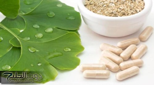 «كلمة كنز من ذهب قليلة عليها».. عشبة بسيطة تقوي الذاكرة وترجع الشايب شباب بسرعة قياسية