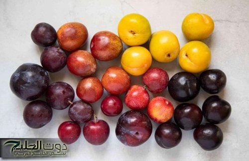 «عشبة بسيطة مهملة» تزرع بكثرة في مصر تخلصك من الإمساك في 5 دقائق وتمنع ارتفاع السكر الدم والتراكمي وتحمي