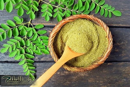 “ ضاع عمرنا واحنا منعرفهاش ” .. عشبة عجيبة تنظف الكلي والكبد من السموم وتحارب الكولسترول .. ازاي فاتك كتير