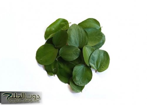 «شعرك هيعدي ركبتك في العيد»… عشبة ربانية موجودة في كل بيت تطول وتكثف الشعر من الاستخدام الاول