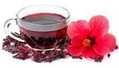 أخبار اليمن : 6 فوائد صحية مذهلة للكركدية.. تعرف عليها