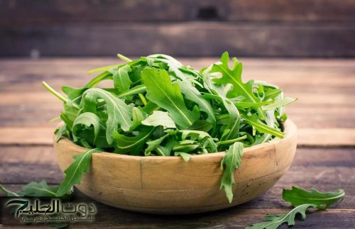 بالفيديو: مختص يكشف ماذا يحدث لجسمك عند تناول الجرجير يومياً.. ويوضح تأثيره على المناعة والكولاجين