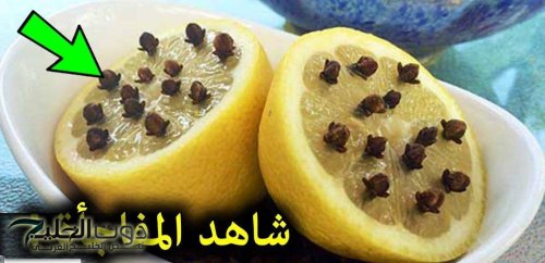 "هتطفشهم من بيتك خالص”.. مكون واحد بس يخلصك من الناموس والذباب طول الشتاء.. والنّتائج هتجنن!!