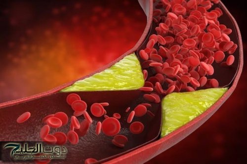 بذور سحرية تحمي قلبك وتخفض الكوليسترول.. لن تصدق النتائج