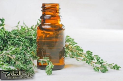 عشبة تسوي ملايين وانت متعرفش قيمتها.. عشبة بسيطة مهملة قادرة على إعادة شبابك حتى لو عمرك 70 سنة وبعكاز!