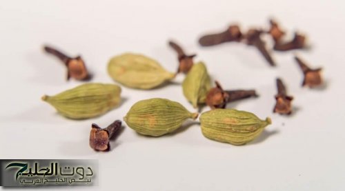 “معجزة مزلزلة هدية ربانية لجسمك”.. إذا تناولت القرنفل وحبتين من الهيل كل يوم بتلك الطريقة فقط طبيب سعودي