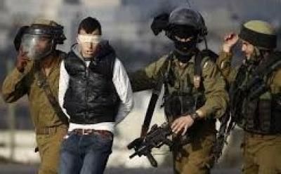 أخبار اليمن : العدو الصهيوني يعتقل 442 فلسطينيا خلال شهر