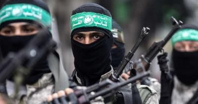 أخبار اليمن : القسام: لا استسلام في قاموسنا